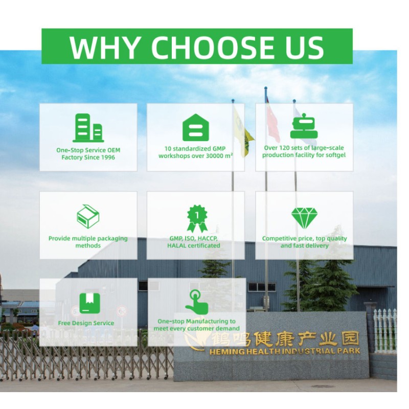 Maca Capsules Manufacturer - Strong Fitness Body Supplement Men Health