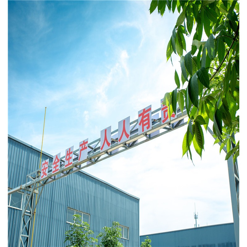 Chlorophyll Drops Manufacturer - Energy Boost Immune Support Fast Absorption