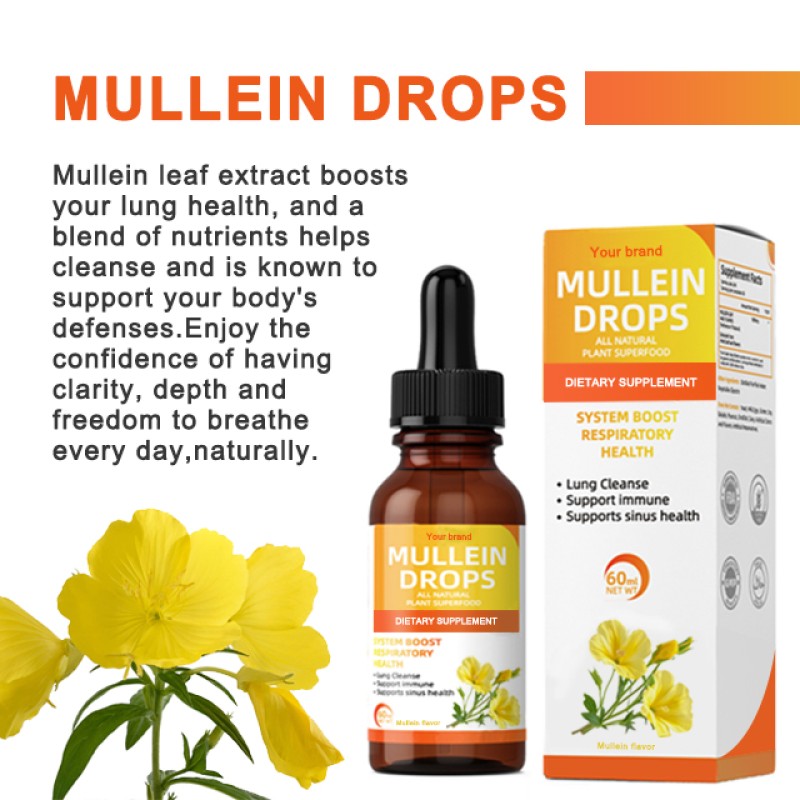 Mullein Leaf Drops Manufacturer - OEM Respiratory Function Alcohol-free Syrup