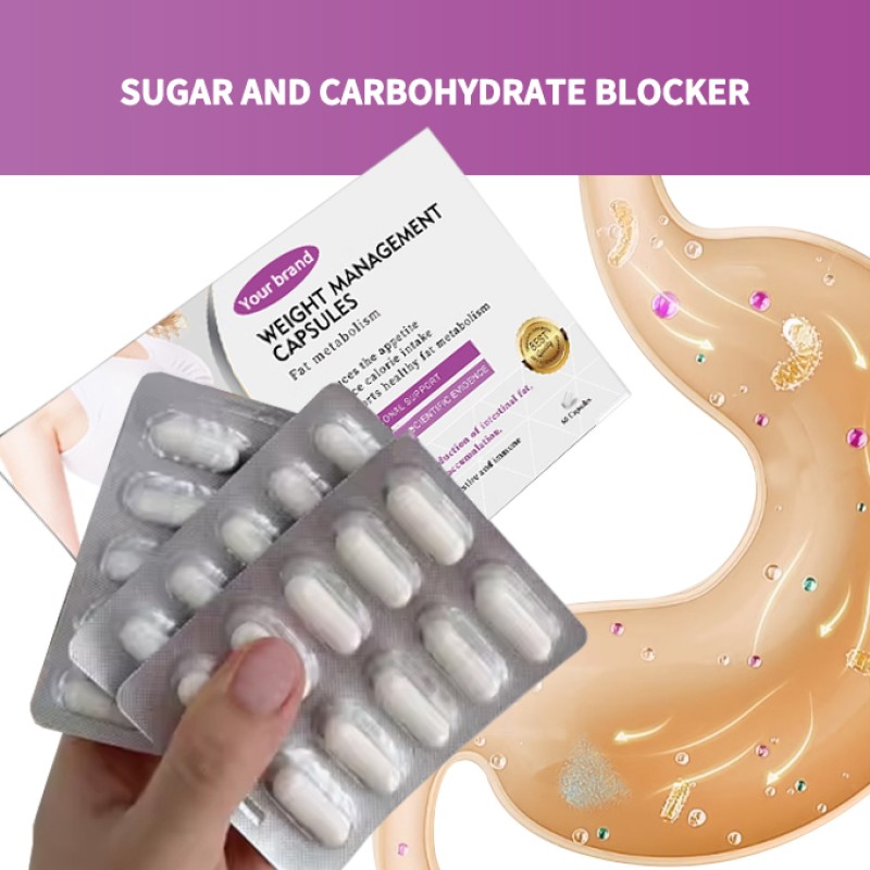 Fat Burning Capsules Factory - Reduce Calorie Intake Weight Management