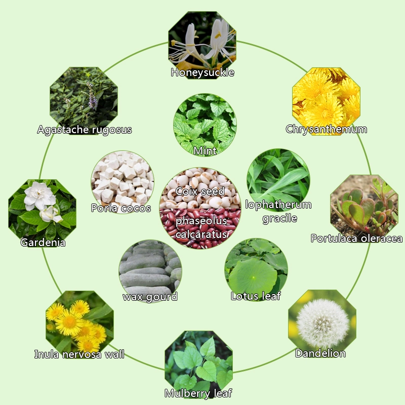 Sleep Support Tea Manufacturer - Private Label Life Style Health Care Teabag