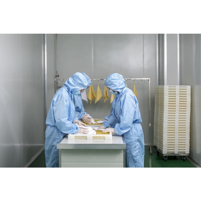 Whitening Softgel Factory - Factory Direct Vitamin Collagen Lightens Skin