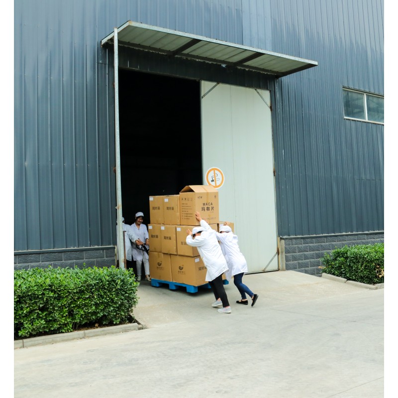 Acetyl-L-Carnitine Coffee Factory - Maca Coffee Blend Instant Beverage