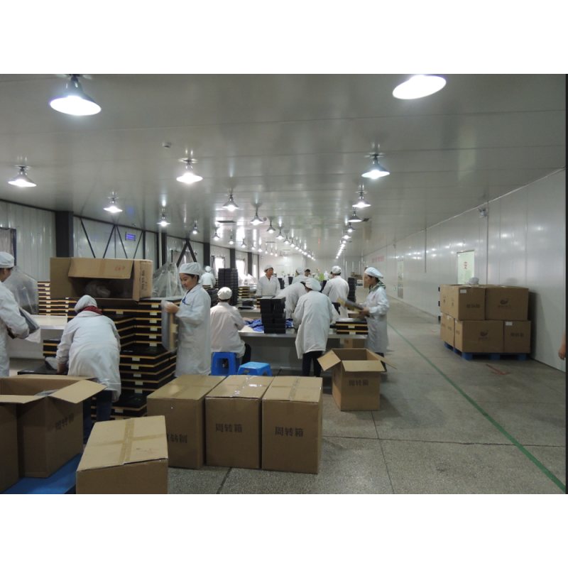 3 in 1 Instant Coffee Factory - Factory Supply Restaurant Hotel OEM Available