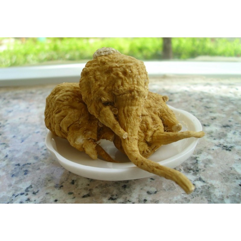 Maca Tablets Factory - Organic High Quality Natural Health Products Private