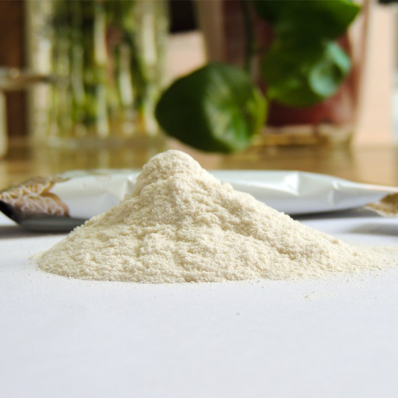 Wheat Germ Protein Powder Manufacturer - Solid Drink Nutritious Breakfast Meal