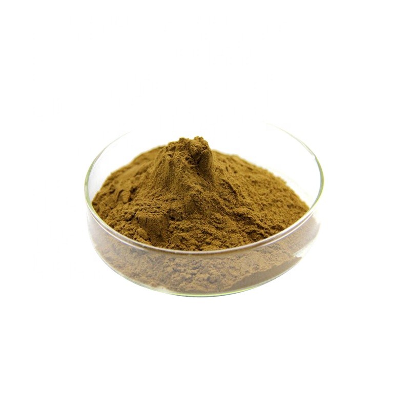 Purslane Extract Powder Manufacturer - Cosmetic Ingredients Water-soluble