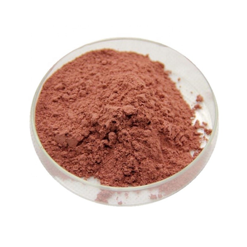 Peanut Coat Extract Factory - Natural Procyanidins 95% Peanut Skin Extract