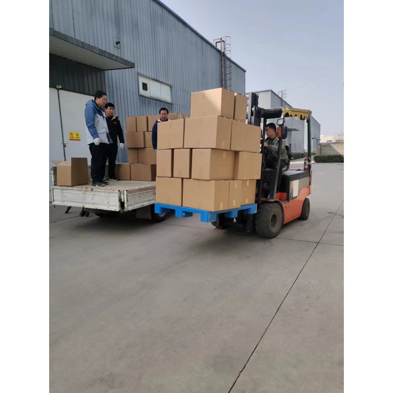 Vegan Hair Supplement Manufacturer - Amazon Hot Selling Keratin Biotin Collagen