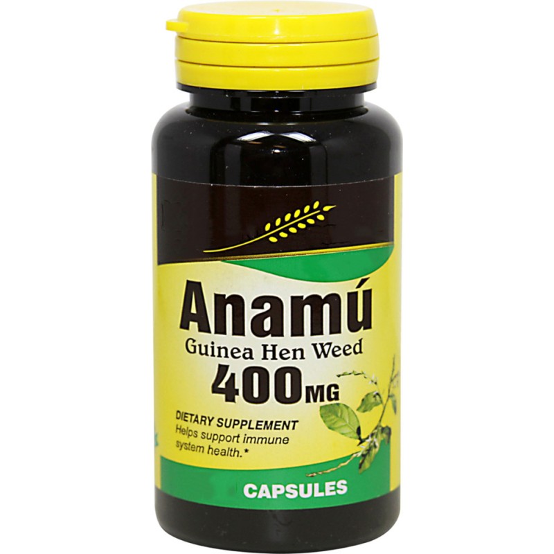 Immunity Capsules Factory - Nutritional Supplement Private Label Anamu