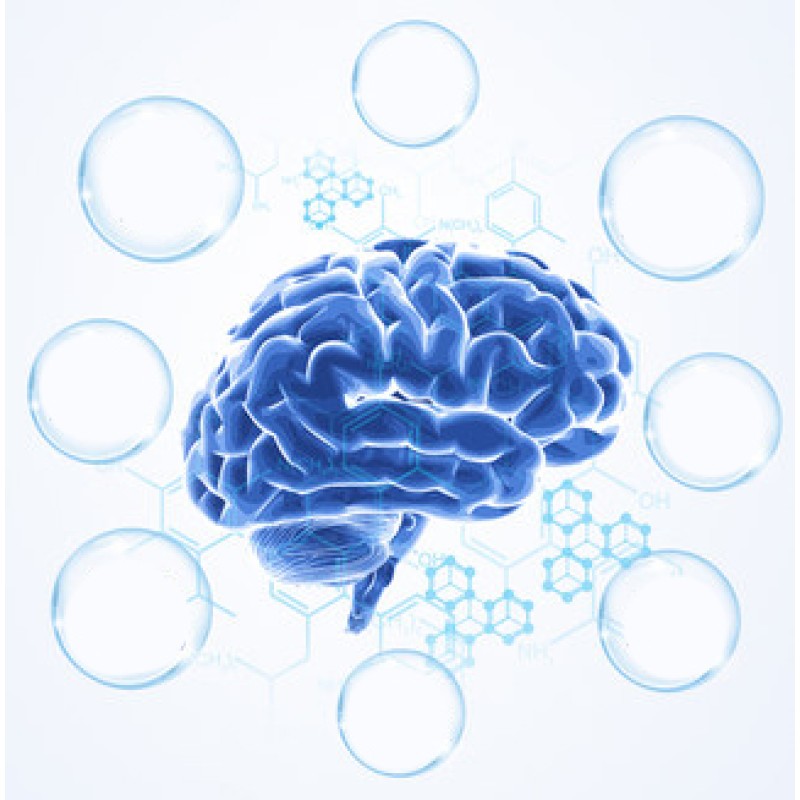 DHA Ginkgo Capsules Manufacturer - OEM Factory Direct Nervonic Acid