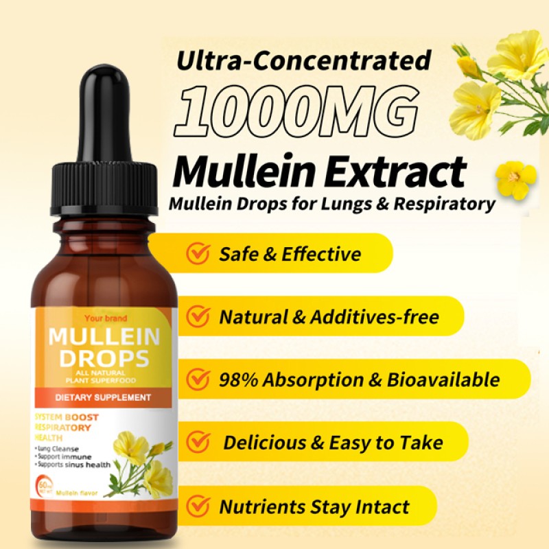 Mullein Leaf Drops Manufacturer - OEM Respiratory Function Alcohol-free Syrup