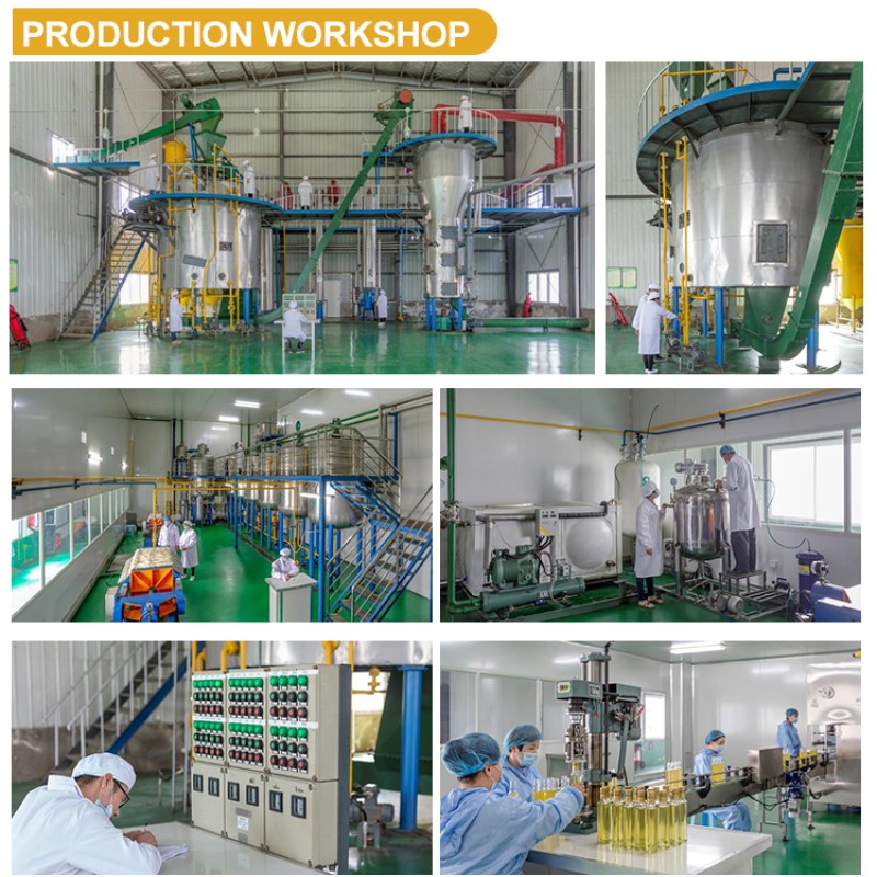 Wild Yam Capsules Factory - Factory Price Health Supplement Nutrition