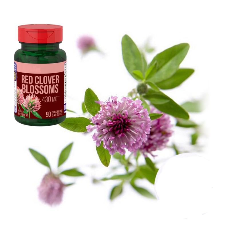Red Clover Capsules Manufacturer - Factory Supply Plant Supplements Blossoms