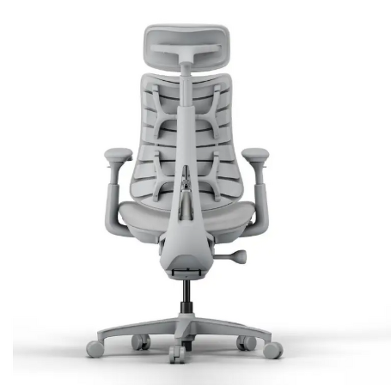Ergonomic Chair Manufacturer - 2025 Original LiberNovo Omni Dynamic Home & Office with Adjustable Lumbar Adaptive Support