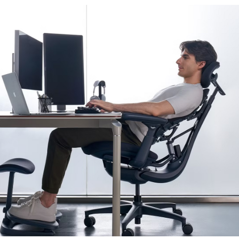 Ergonomic Chair Manufacturer - 2025 Original LiberNovo Omni Dynamic Home & Office with Adjustable Lumbar Adaptive Support