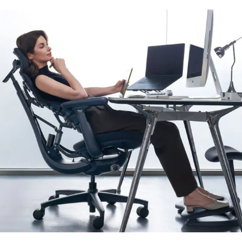 Ergonomic Chair Manufacturer - 2025 Original LiberNovo Omni Dynamic Home & Office with Adjustable Lumbar Adaptive Support