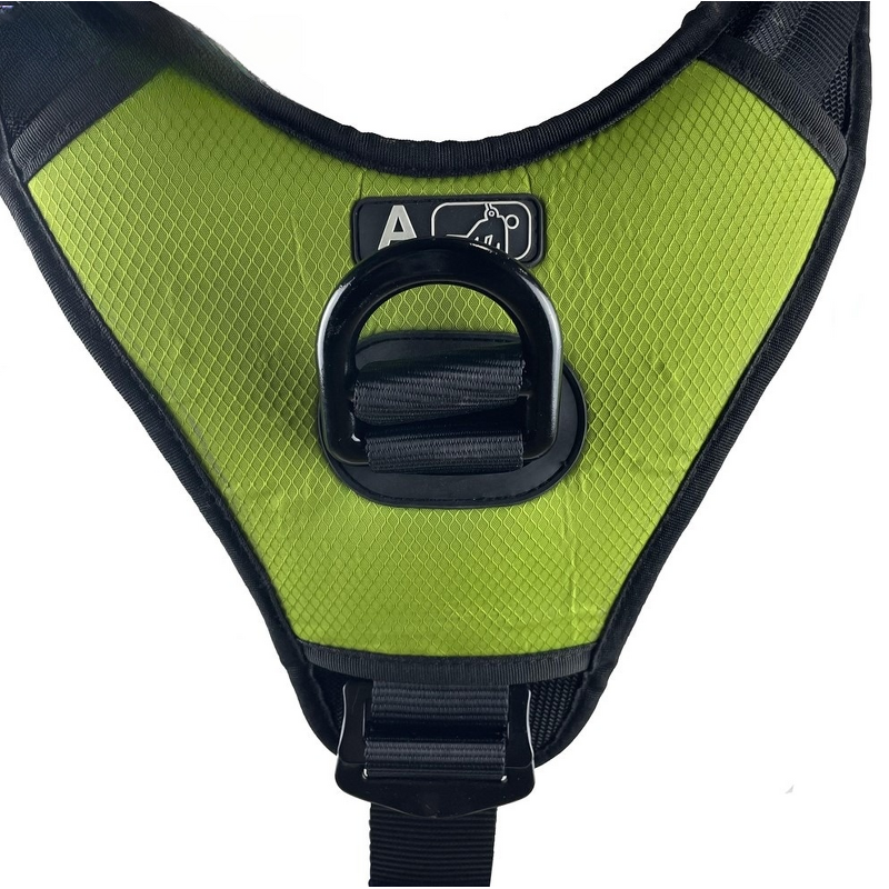 Safety Harness Manufacturer - Full Body EN Certified Harness Good Selling for Workers
