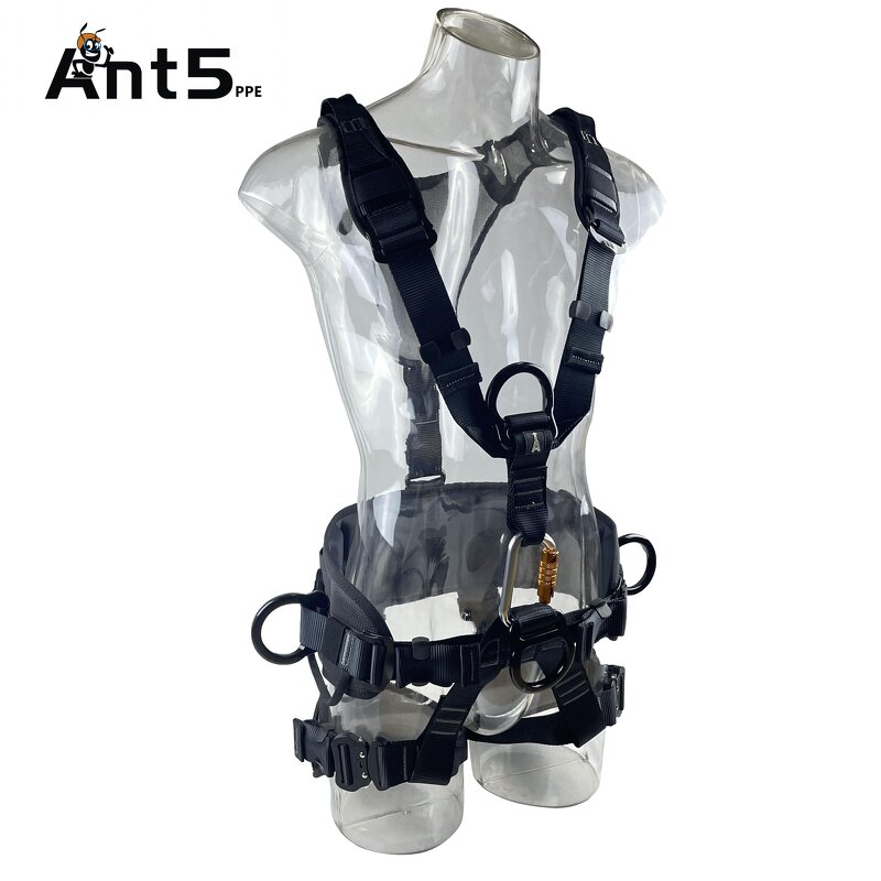 Safety Harness Manufacturer - Wholesale High Quality with D-ring for Workers