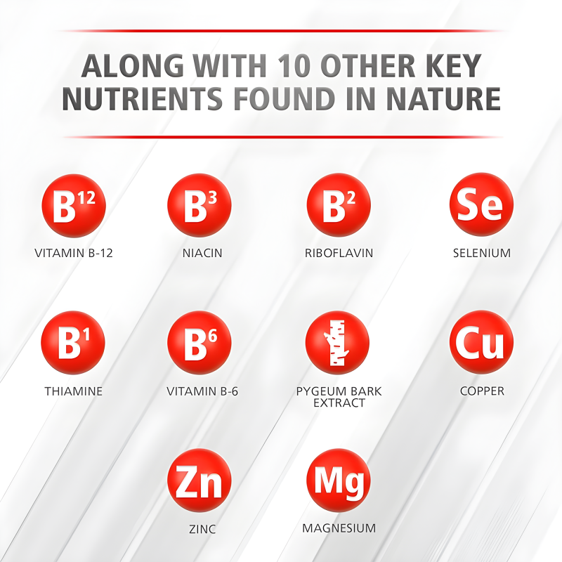 Saw Palmetto Capsules Factory - B Vitamins Support Urinary Tract Men Prostate