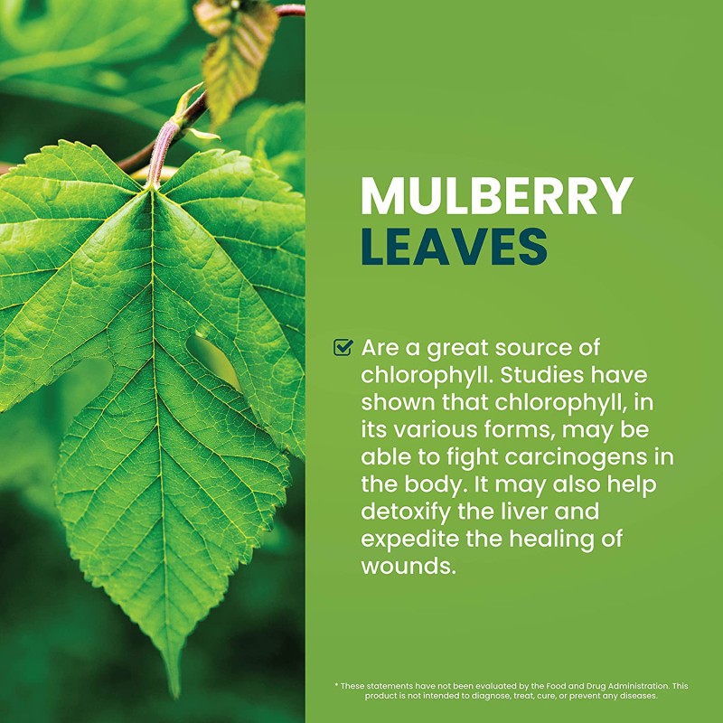 Liquid Chlorophyll Drops Manufacturer - OEM/ODM Private Label Herbal Extract Energy