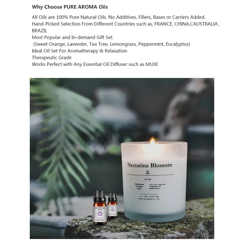 Aromatherapy Essential Oils Set Manufacturer - 6 Set Private Label Gift 10ml Lavender Oil for Relaxation and Calming