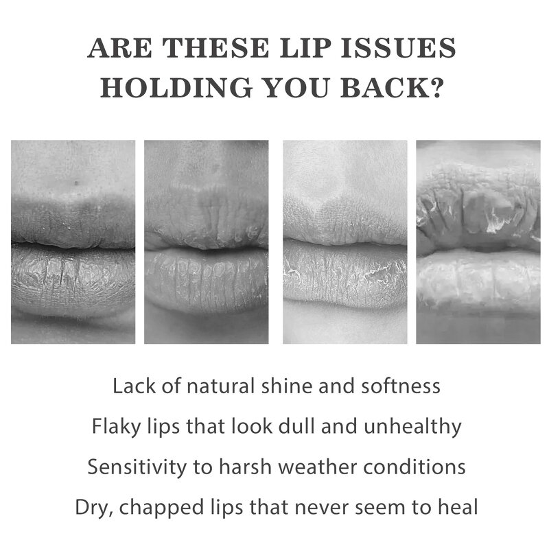 Lip Balm Manufacturer - Factory Price OEM Custom Logo Grass-Fed Beef Tallow Moisturizing Brightening Waterproof 5g