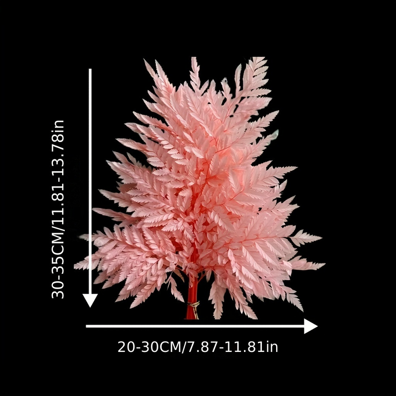 Dried Flowers Manufacturer - Alpine Fern Leaves Eternal Wedding Arrangement