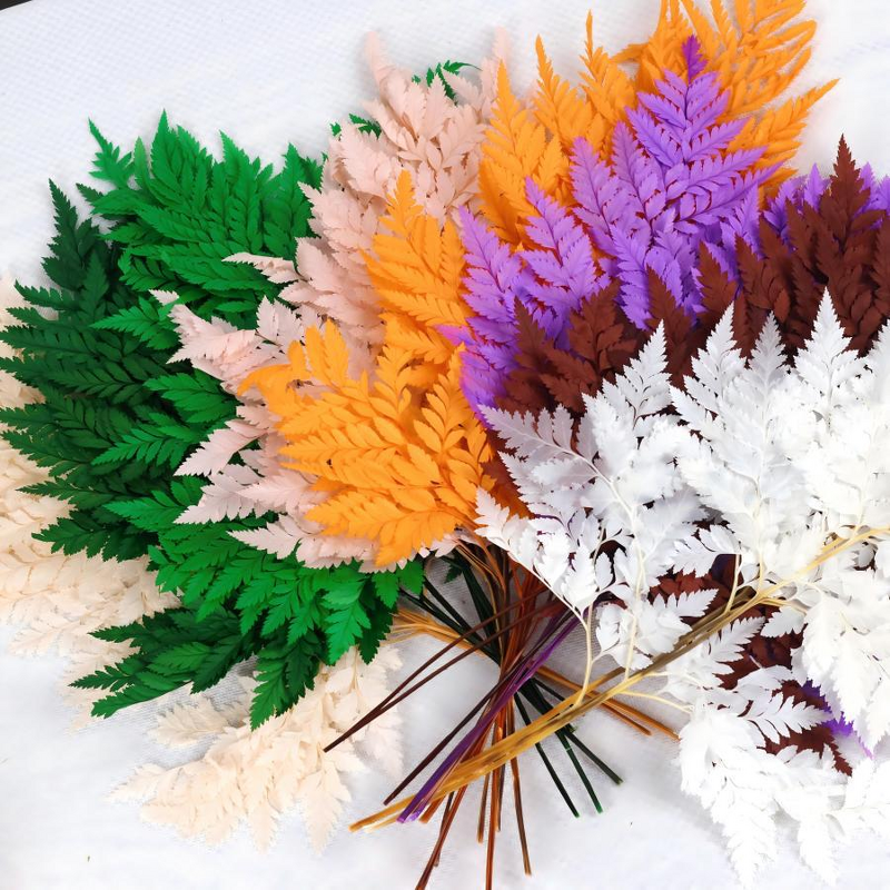 Dried Flowers Manufacturer - Alpine Fern Leaves Eternal Wedding Arrangement
