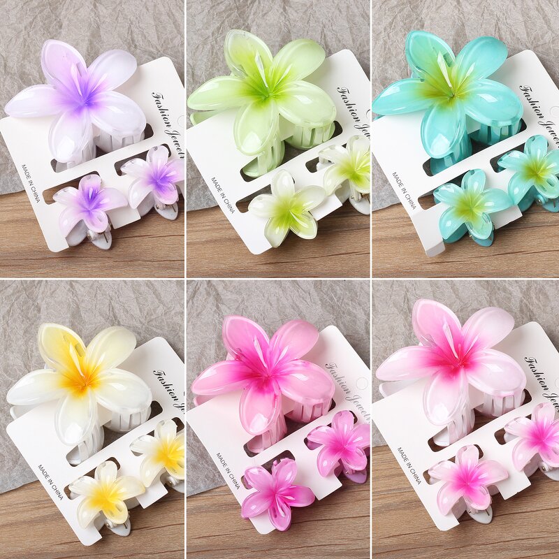 Hair Accessories Set Manufacturer - Elegant Shark Clip Egg Flower Back Head