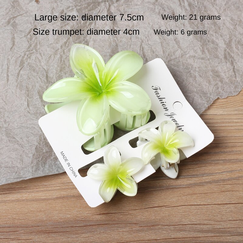 Hair Accessories Set Manufacturer - Elegant Shark Clip Egg Flower Back Head