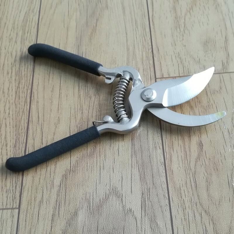 Pruning Shears Manufacturer - 8 Inch Drop Forged