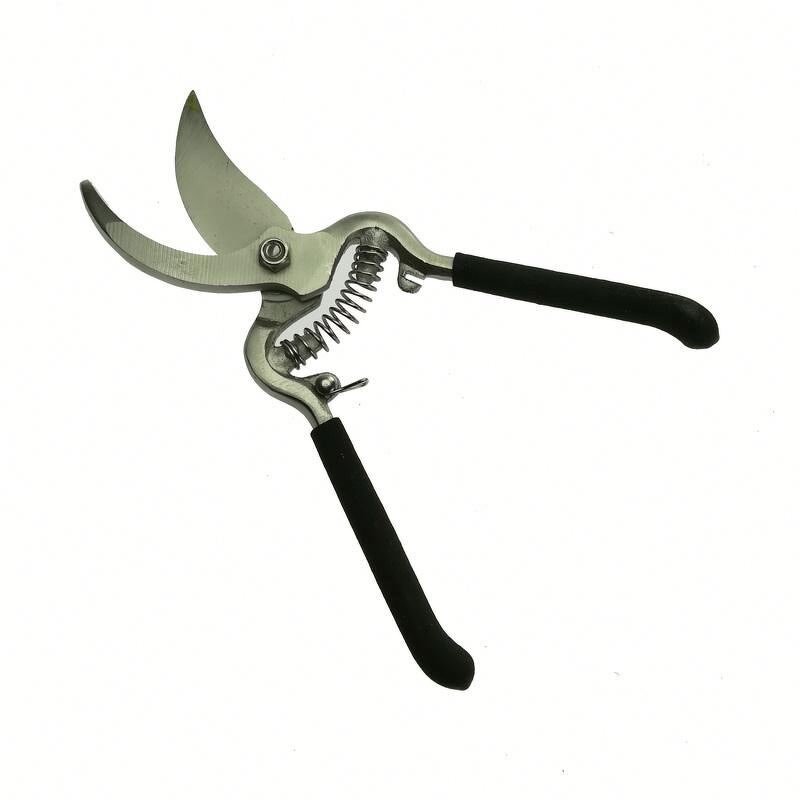 Pruning Shears Manufacturer - 8 Inch Drop Forged