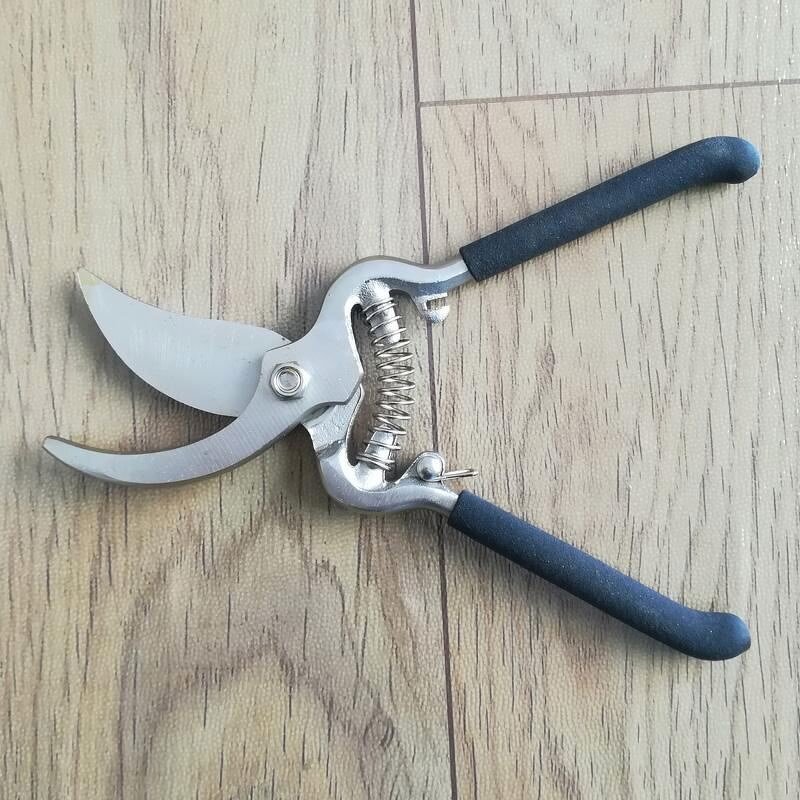 Pruning Shears Manufacturer - 8 Inch Drop Forged