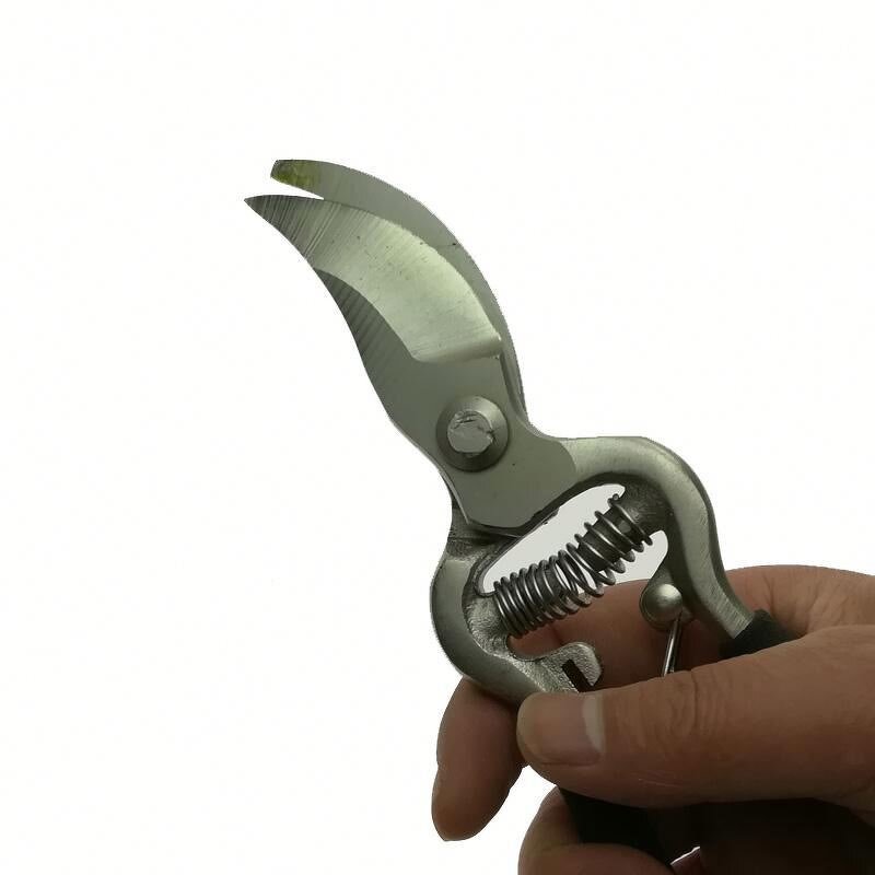 Pruning Shears Manufacturer - 8 Inch Drop Forged