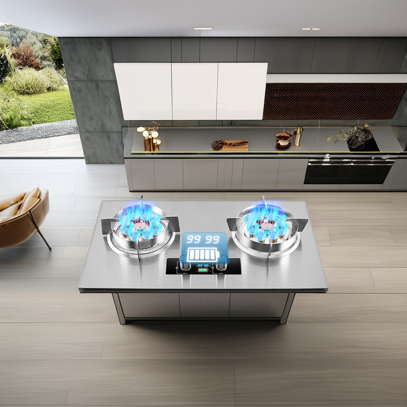 Gas Cooker Manufacturer - Dual Burner Stainless Steel LPG Powerful 2-Burner Built-In Gas Electric Solar Portable for Kitchen