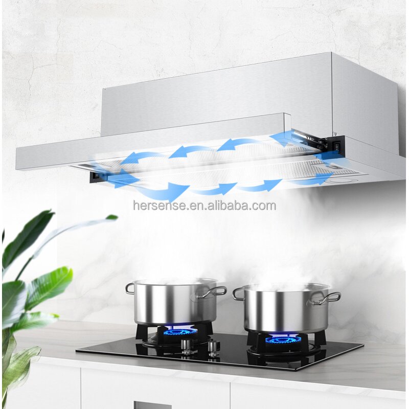 Range Hood Manufacturer - Electric 600mm Pull-Out Smart Chimney Kitchen Exhaust Stainless Steel Wall-Mounted Ductless Cooker