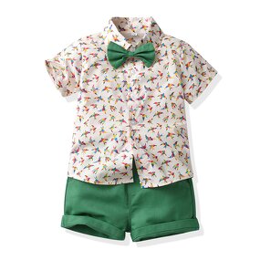 Children's Clothing Set Manufacturer - Summer Short-sleeved Floral Shirt Boy Shorts Casual Two-piece Multi-color Beach Clothes