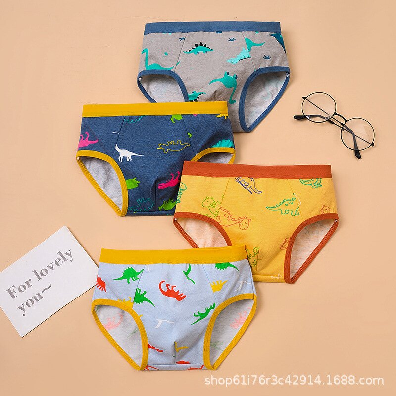 Boys Underwear Manufacturer - 2025 New Style Triangle Briefs Cotton Teenager