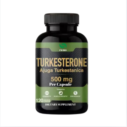 Turkesterone Capsules Manufacturer - OEM/ODM Ajuga Extract Supplement Pills