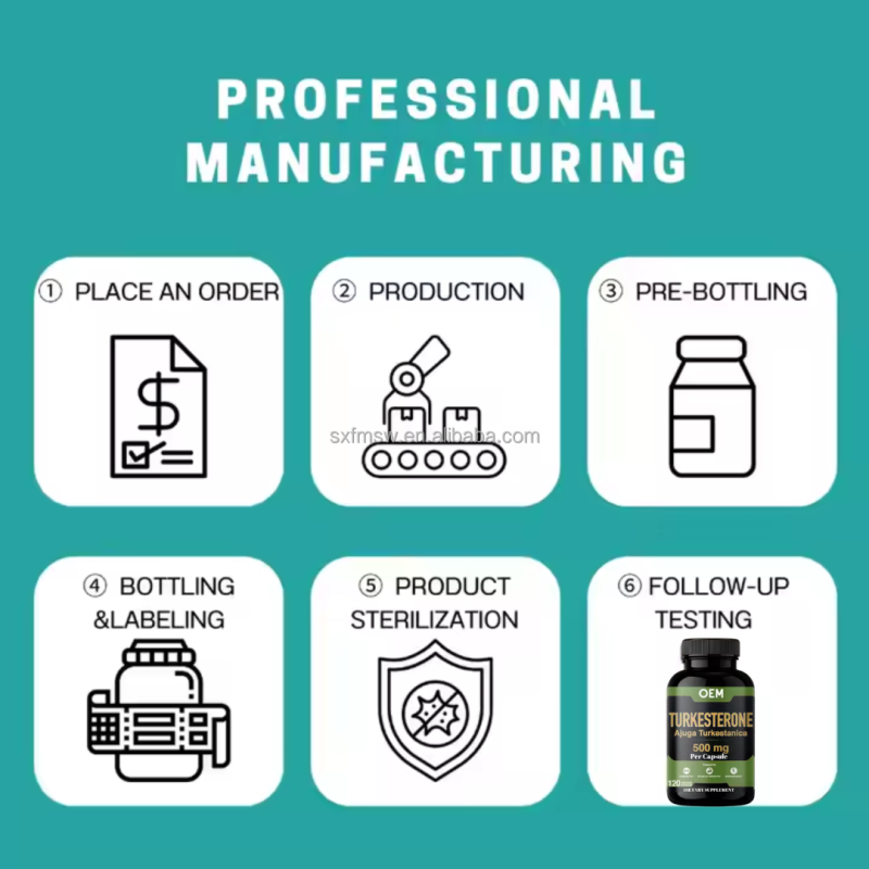 Turkesterone Capsules Manufacturer - OEM/ODM Ajuga Extract Supplement Pills