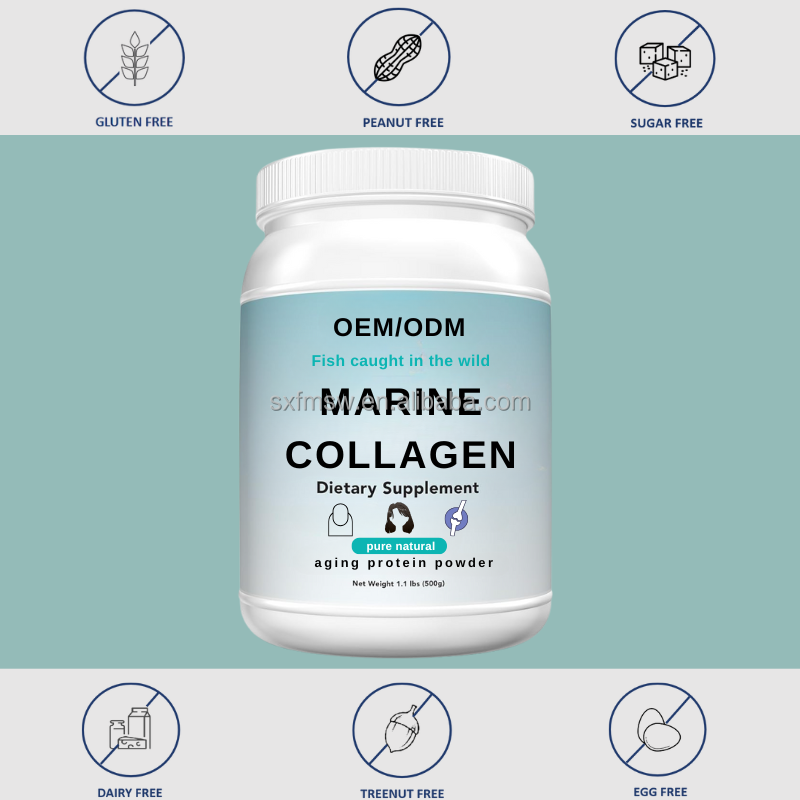 Marine Collagen Powder Factory - Ocean Sourced Wild Caught Fish Scale Bulk