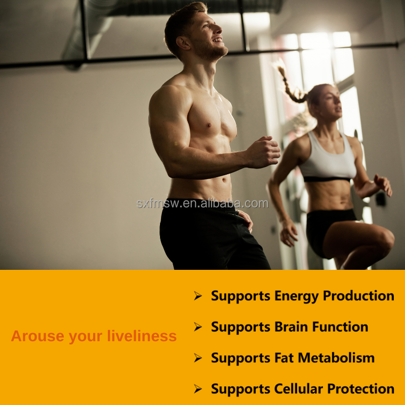 Sports Nutrition Tablets Factory - L-Carnitine Amino Acids Energy Weight