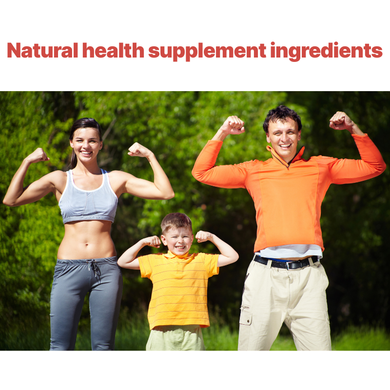 Lion's Mane Gummies Factory - OEM/ODM Premium Mushroom 60 Pellet Extract