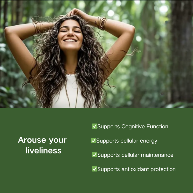 Methylene Blue Drops Factory - OEM/ODM Private Label 100ml 2% Brain