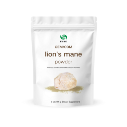 Lion's Mane Powder Factory - OEM/ODM Organic Extract Cognitive Support