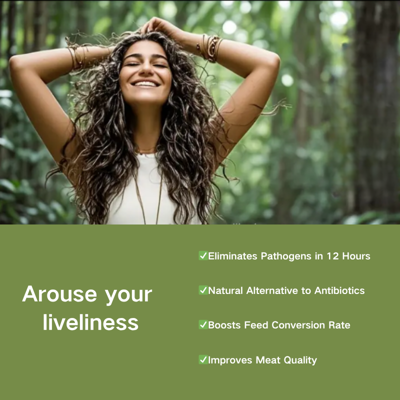 Oregano Oil Factory - OEM/ODM Premium Carvacrol Natural Antibacterial