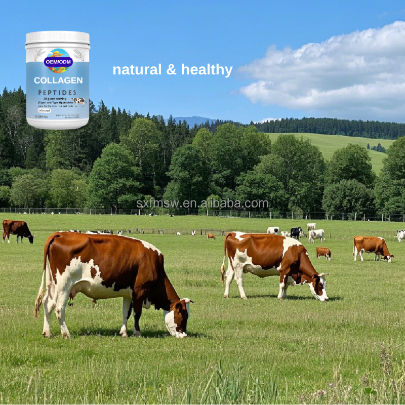 Collagen Powder Manufacturer - Pasture Raised Non-GMO Antibiotic Free