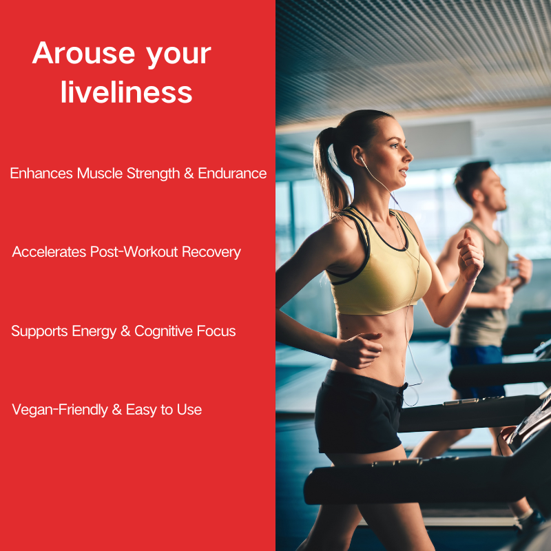 Creatine Gummies Manufacturer - Premium Monohydrate OEM/ODM Customizable