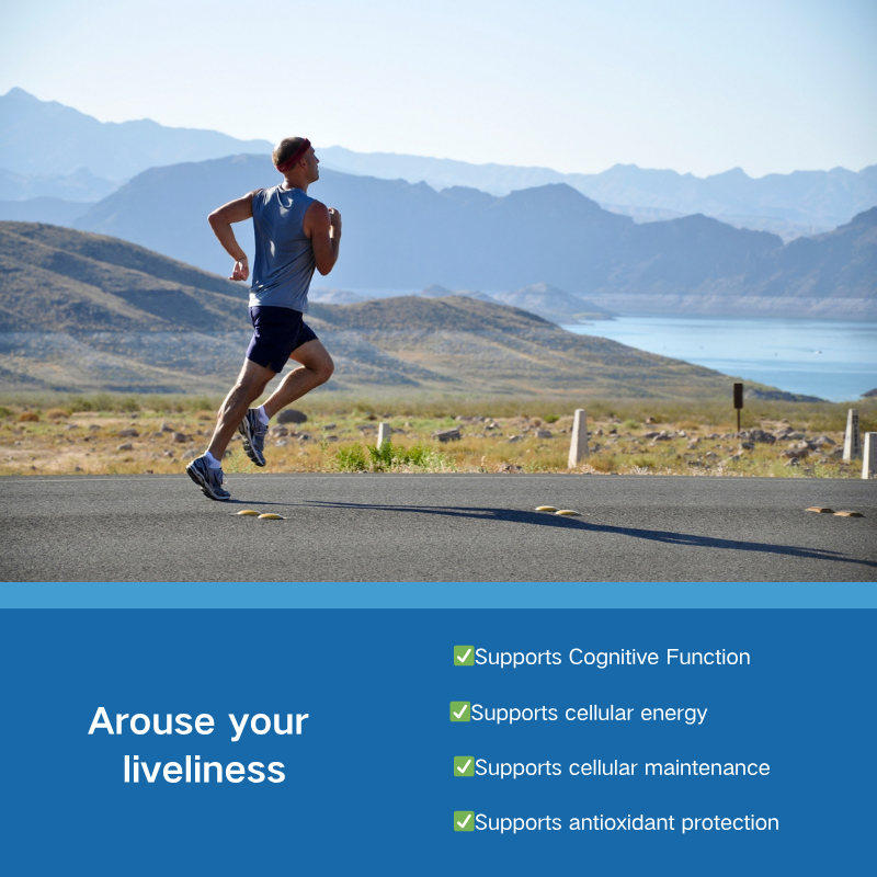 Methylene Blue Drops Manufacturer - OEM Factory Price Brain Health Supplement